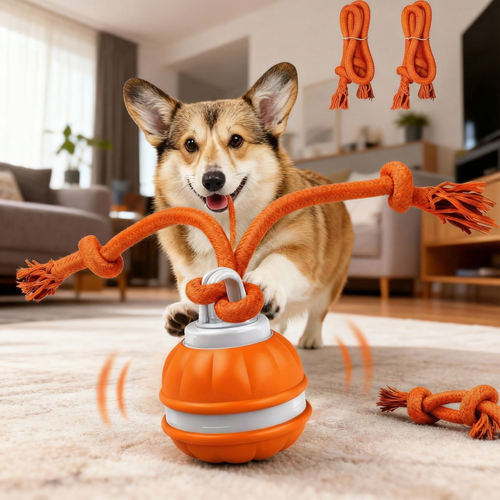 PawPlayPro™ Pet Play Motion Ball