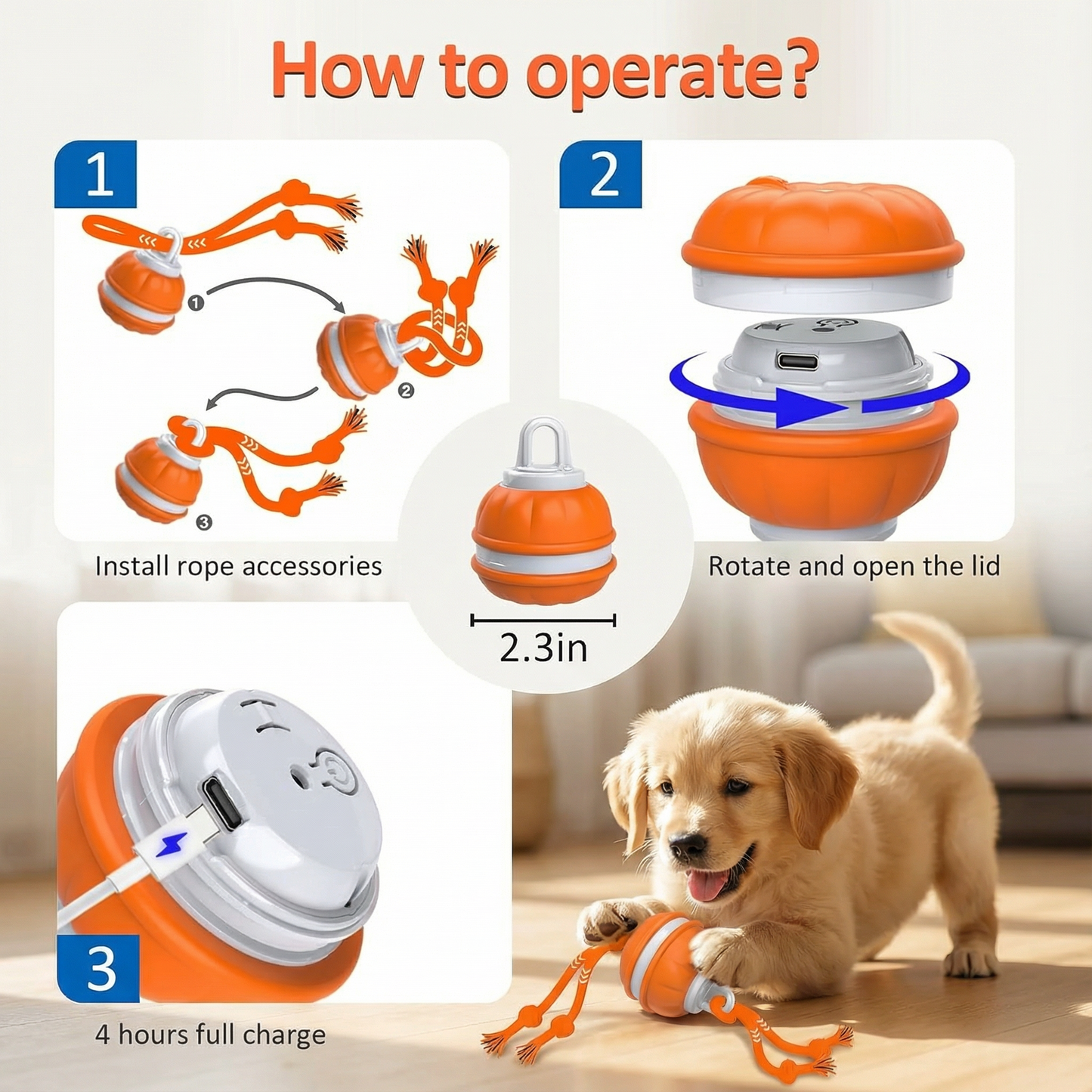 PawPlayPro™ Pet Play Motion Ball