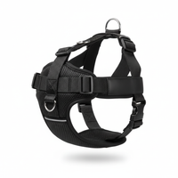 PawPlayPro WanderLock No-Pull Adventure Harness™
