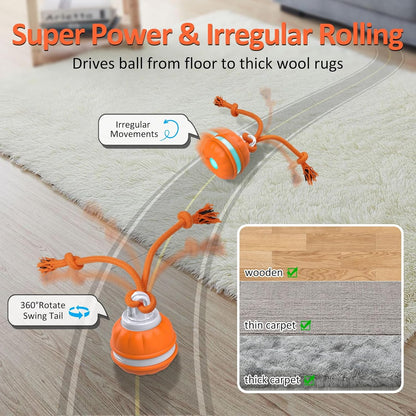 PawPlayPro™ Pet Play Motion Ball