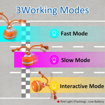 PawPlayPro™ Pet Play Motion Ball